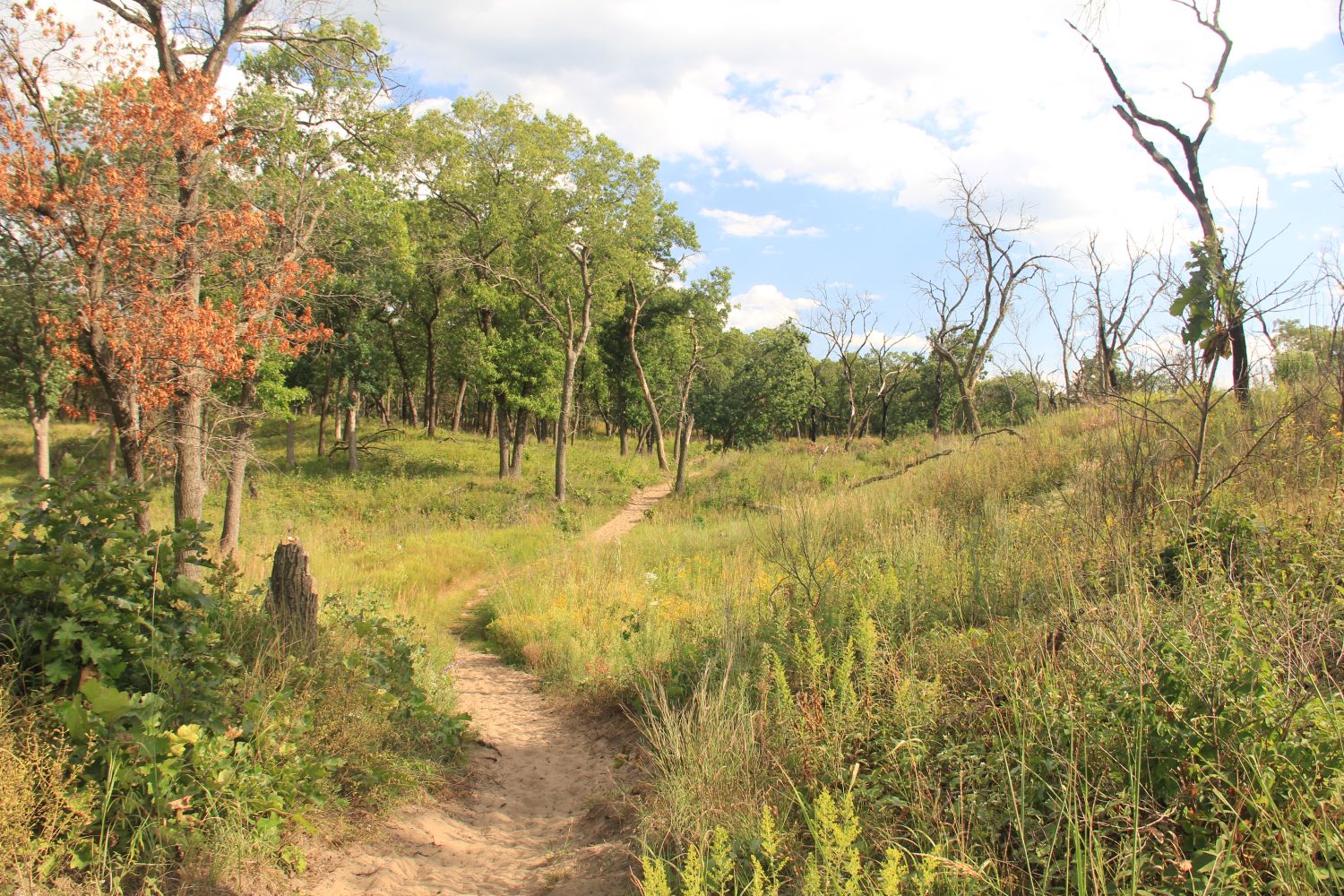 Ranger Led Miller Woods Hike 